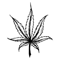 Cannabis (marijuana) leaf flat icon,isolated on white