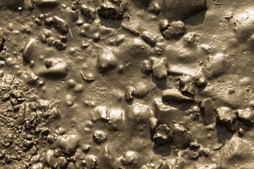 Mud Texture Background