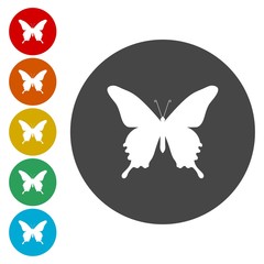 Butterfly logo icon set 