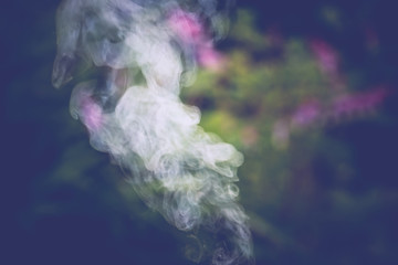 Smoke in the Garden Retro
