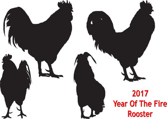 Big black rooster in four positions on white background.