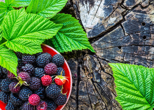 raspberries in a bowl on a wooden background