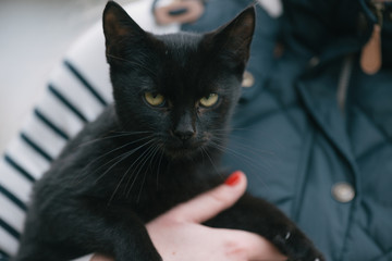 Girl holding black cat
