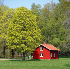 Summer cottages at the Swedish coast 