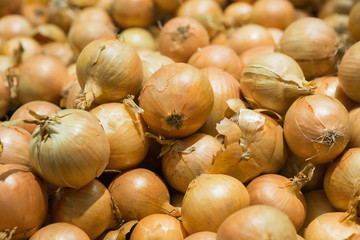 Fresh onions. Onions background. Ripe onions. Onions in market