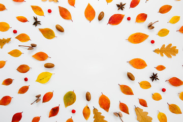 Autumn composition. Frame made from dry leaves and berries on a white background