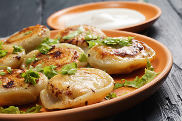 Closeup of fried dumplings