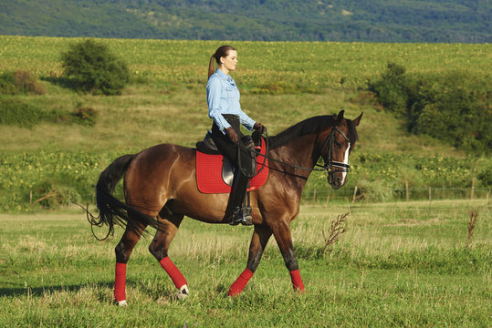 Enjoying horseback riding in nature