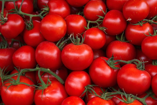 Pomodori a grappolo
