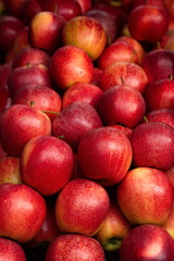 Fototapeta na wymiar vendita di mele rosse