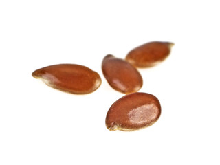 Close up of flax seeds isolated on white background