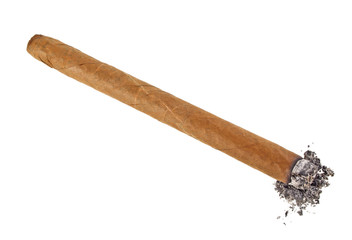Brown cigar burned on white background