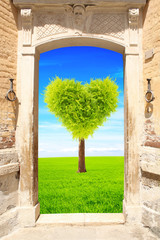 Ancient door and heart shape tree on green field