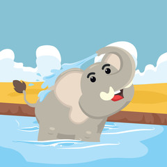 elephant taking bath