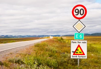  Road signs with reindeers in Norway © Maresol