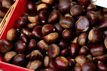 cassetta di castagne
