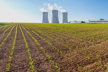 Thermal power plant, corn field