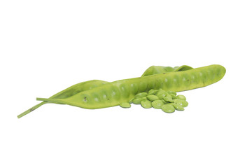 Bitter bean, Twisted cluster bean ( Parkia speciosa) thai vegeta