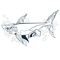 Illustration of wounded shark, marine mammal.