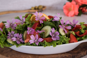 Schüssel mit gemischten Salat und Wegwarte 