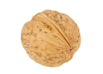 Single walnut isolated on a white background