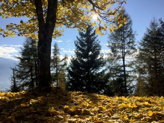 Herbststimmung im Gebirge