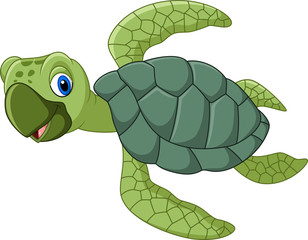 Cute turtle cartoon