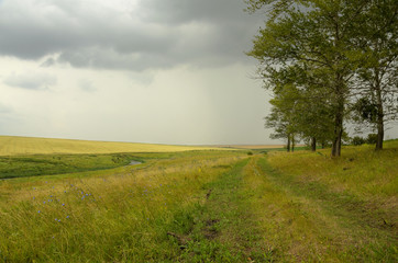 Fototapeta na wymiar Cloudy summer landscape