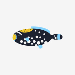 Vector flat illustration Picasso Triggerfish sea tropical fish on white background.