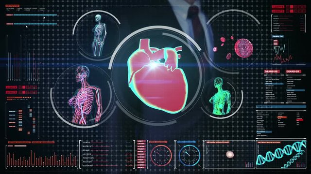 Businessman touching digital screen,  Female body scanning blood vessel, lymphatic, heart, circulatory system in digital display dashboard. Blue X-ray view. 