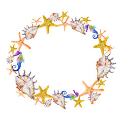 Caribbean starfish on white background. Watercolor illustration