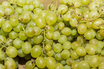 White wine grapes in a market