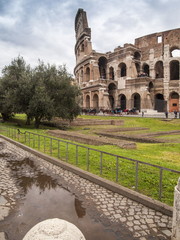 Fototapeta premium Italia,Lazio,Roma,il Colosseo.