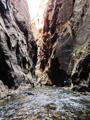 The Narrows, Virgin river, Zion National Park