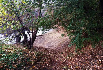 Осень / autumn