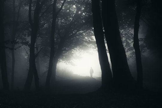 dark forest path with mysterious silhouette