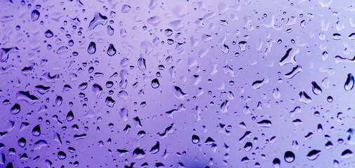 Rainy wet violet abstract eco seasonal natural background with water drops