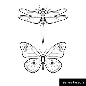 Set of insect icons.