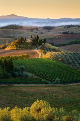 Obraz premium San Quirico d'Orcia, Tuscany, Italy