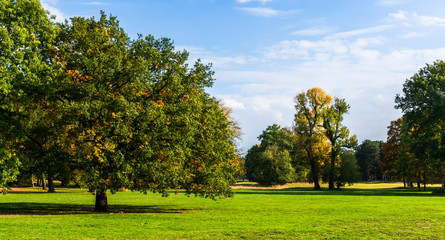 Fototapeta na wymiar autumnal landscape - autumnal parkland