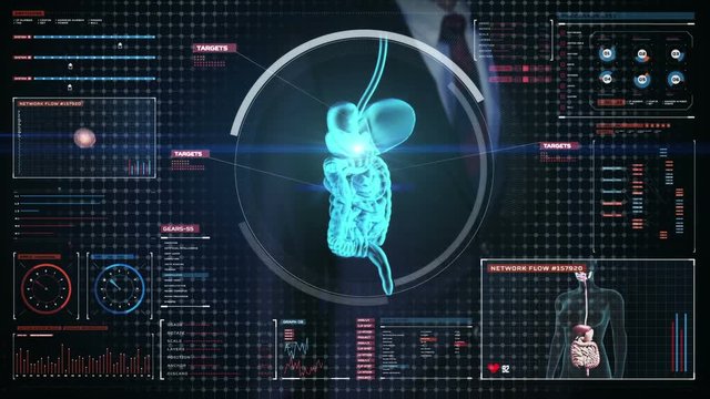 Businessman touching digital screen, Zooming body scanning internal organs, Digestion system in digital display.Blue X-ray view. 