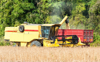 Combine harvester and tractor trailer