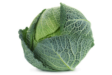 Obraz premium Savoy cabbage on white