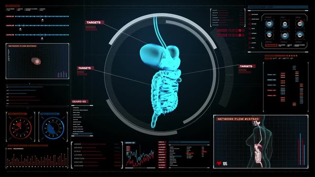 Zooming body scanning internal organs, Digestion system in digital display.Blue X-ray view. 