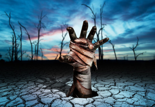 Zombie Hand Through Soil Cracked In Magic Land And Blurred Tree Die Background.Halloween Theme