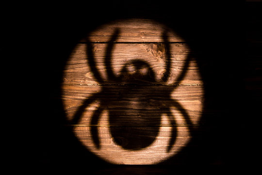 Big spider shadow on the wooden background. Halloween.