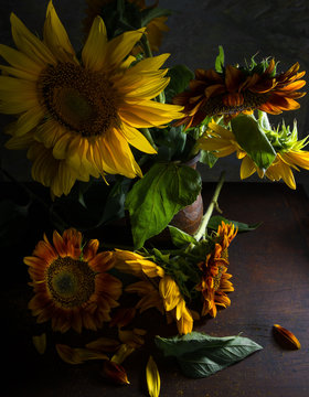 Beautiful sunflowers in vase