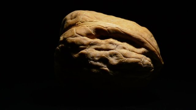 Walnut nut fruit food turning on black background