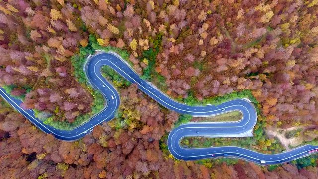 Winding road trough the forest. Hi mountain pass in Transylvania, Romania. Aerial view from a drone. Cars traveling on the road.
