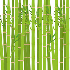 green bamboo trunks and leaves. exotic plant over white background. vector illustration